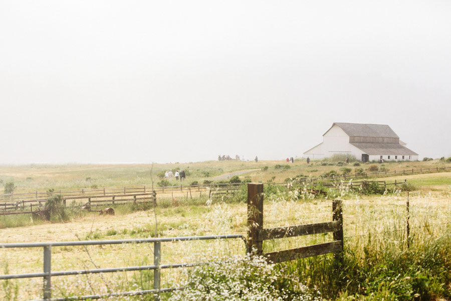 Toby's Feed Barn