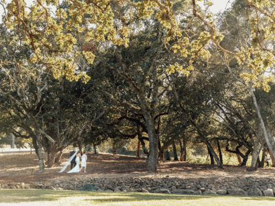 Sonoma wedding in the oaks and vineyards