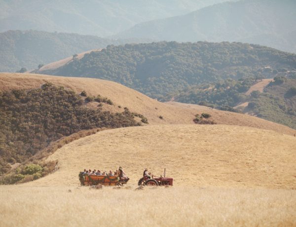 wedding exit, wedding tractor